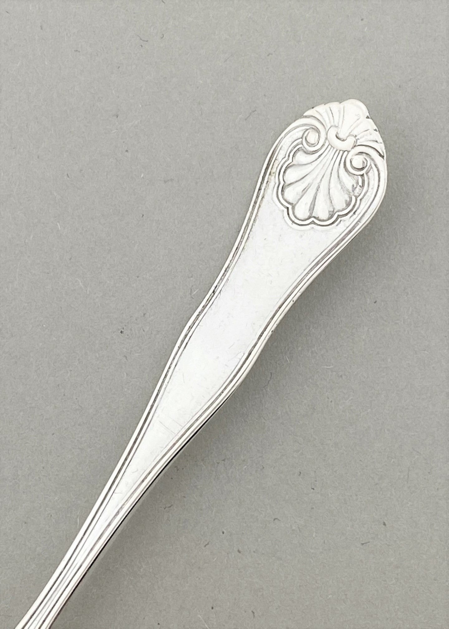 Vintage New Shell Coffee Spoon