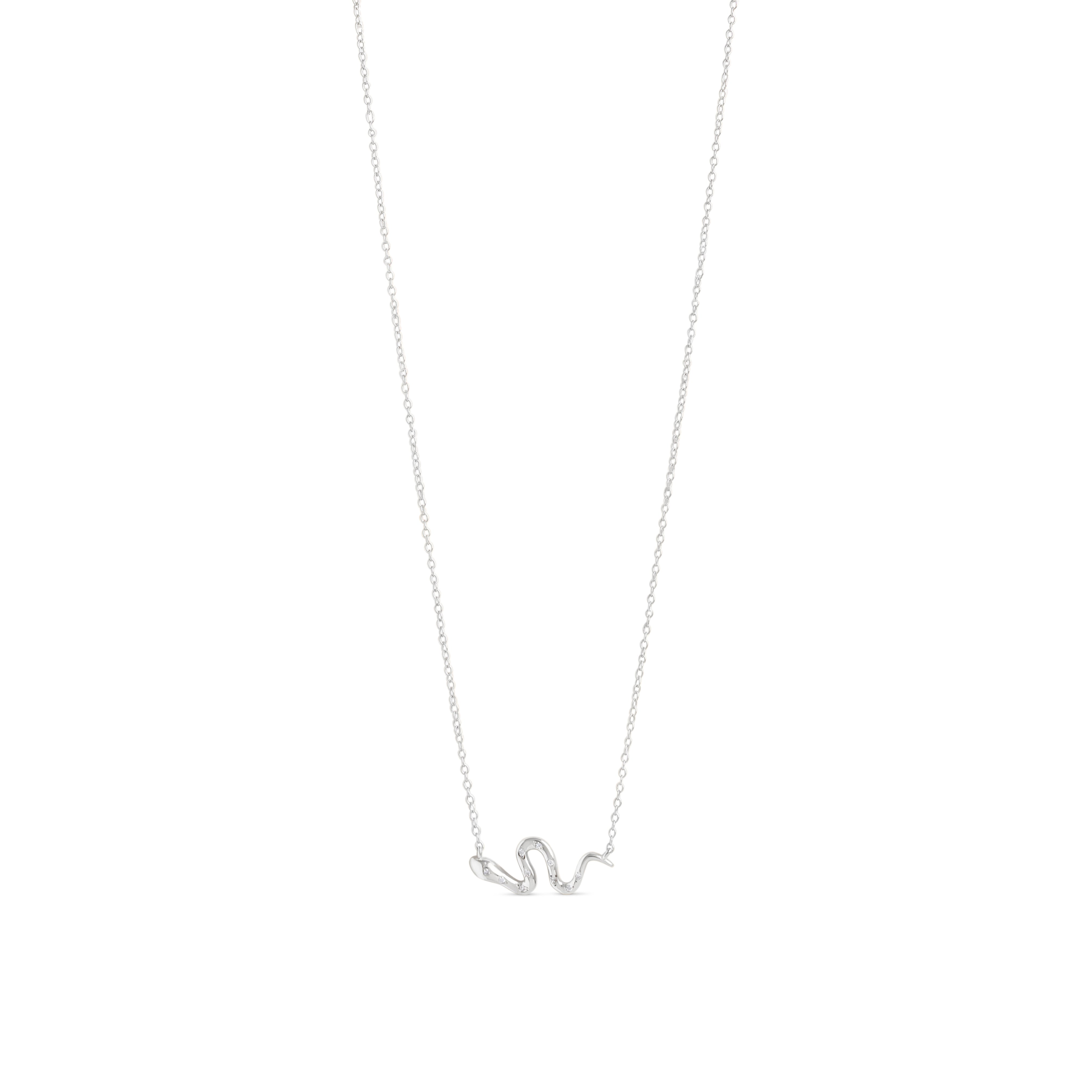 Serpent Silver Necklace