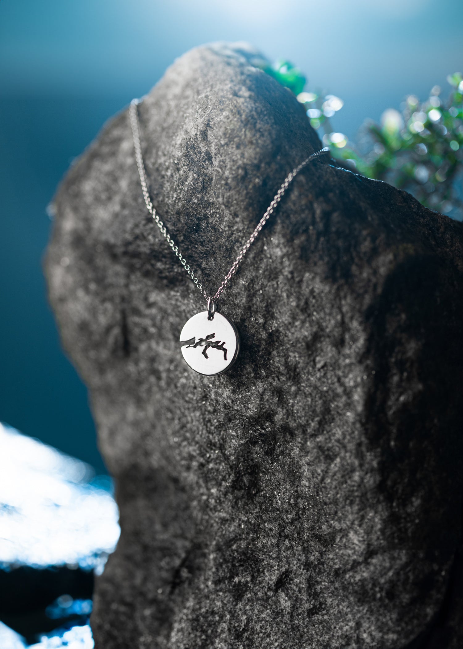 Pendant Silver 12 mm Shiny Saltfjord