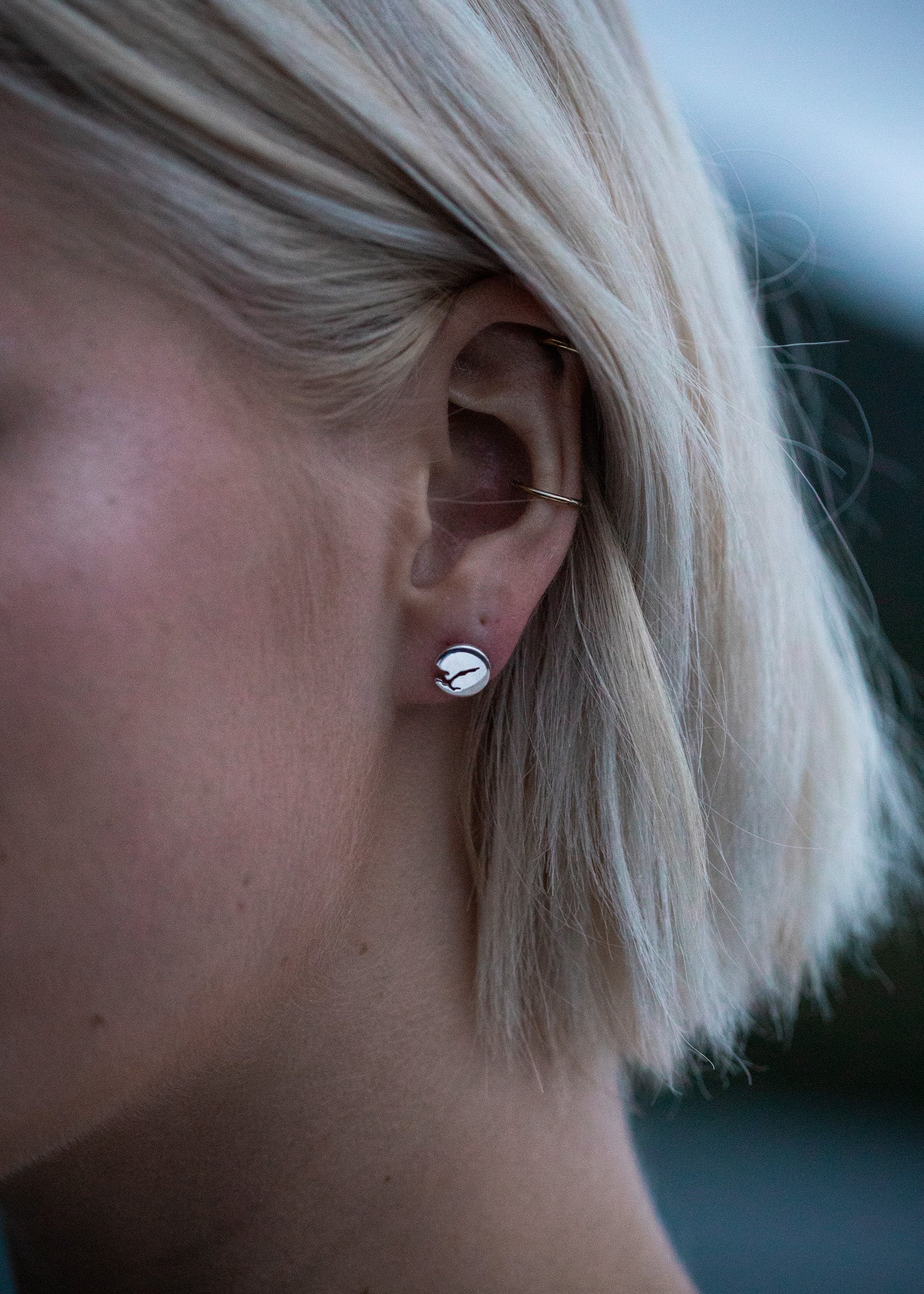 Earrings Silver 9 mm Shiny Sognefjord
