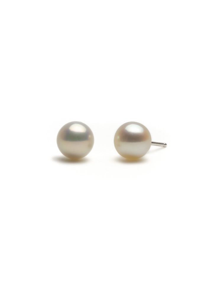 Pearl earrings in silver 6-6.5 mm
