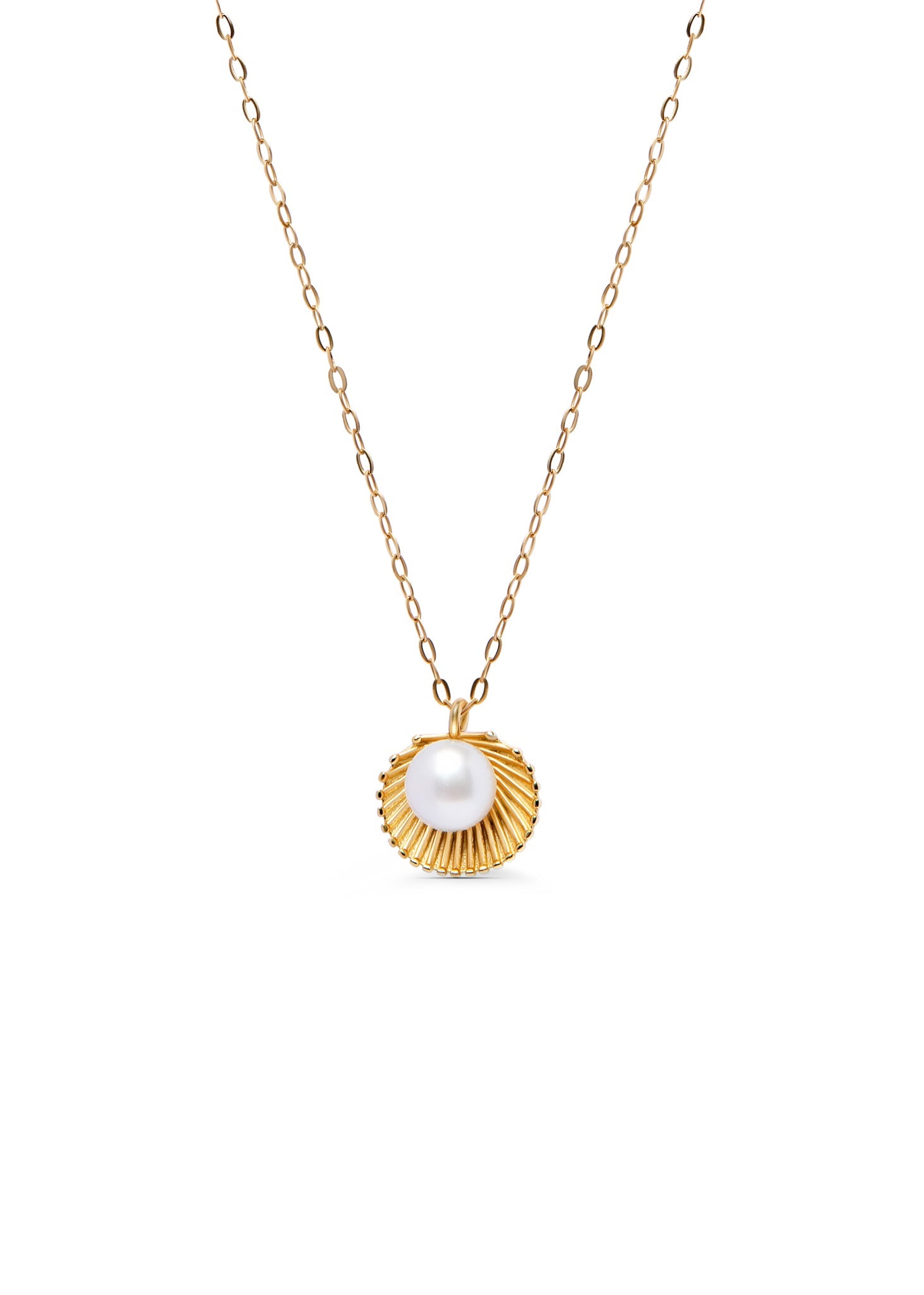Seashell pearl necklace