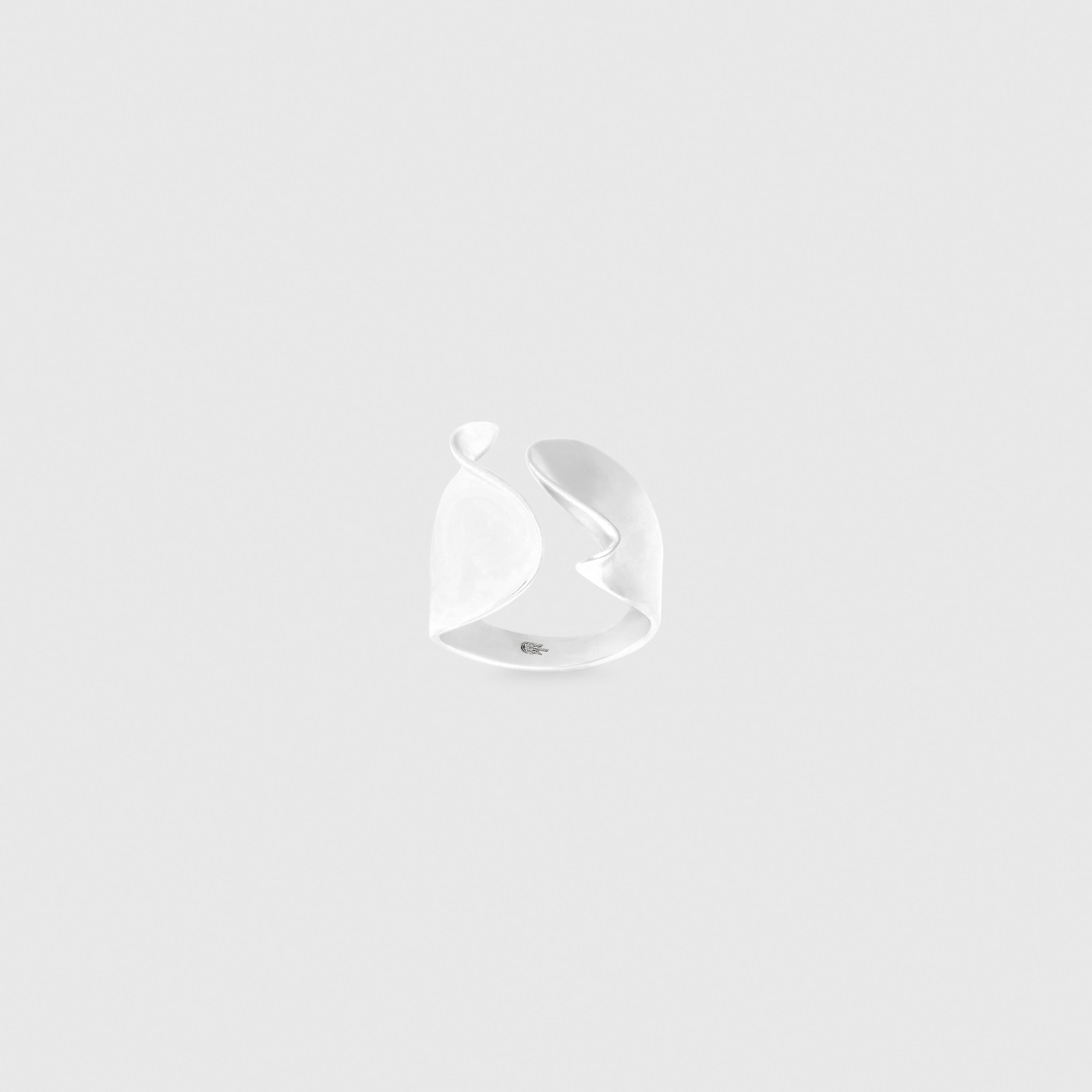Symmetry Ring