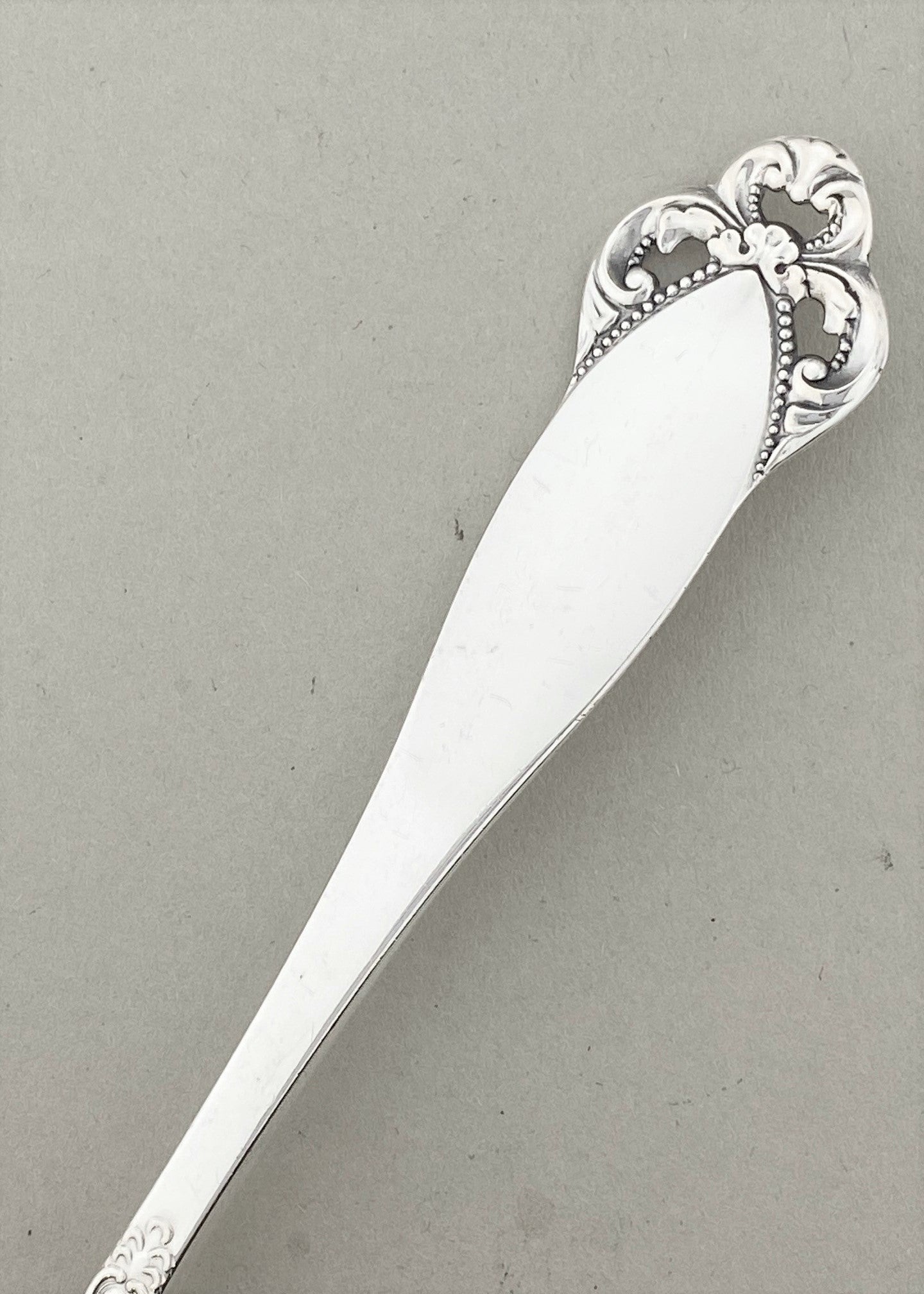 Vintage Laila sauce spoon with hook